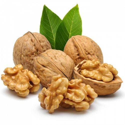 Walnut